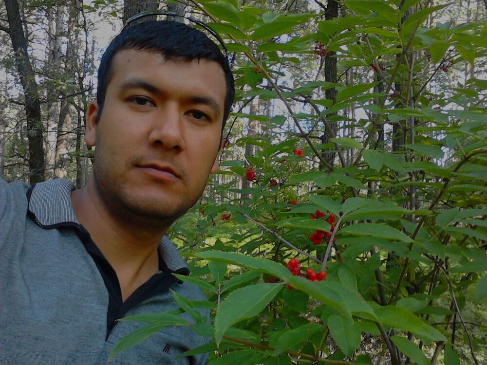 ���� 11186982 ������� ������, 38 ���, ���� ���������� � �������