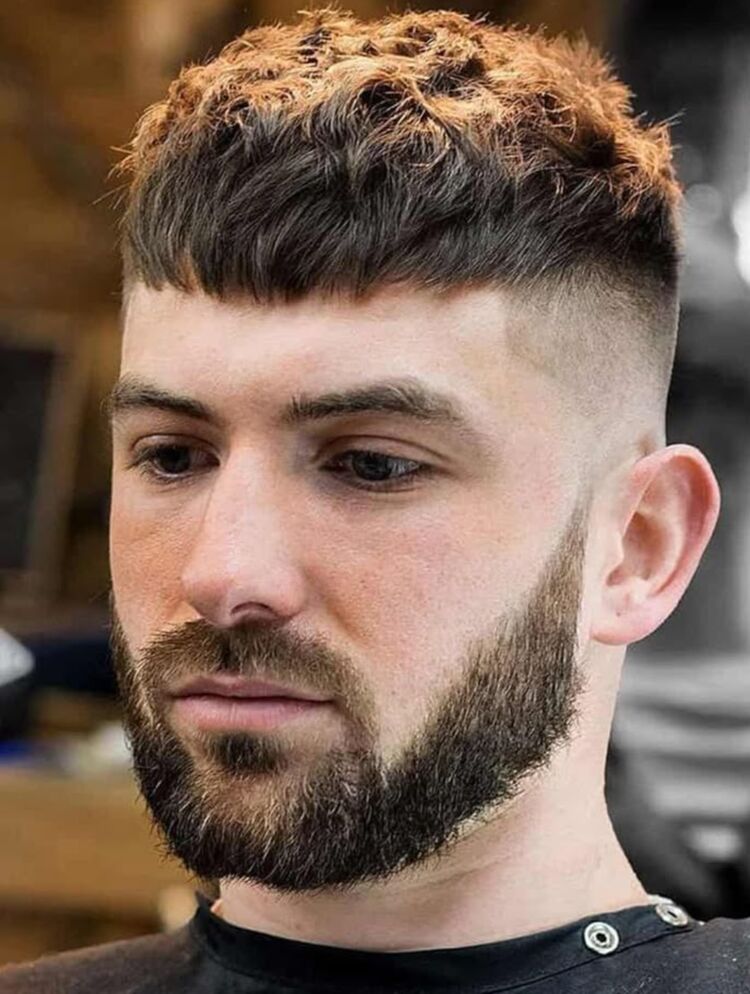  53837852  , 45 ,    -