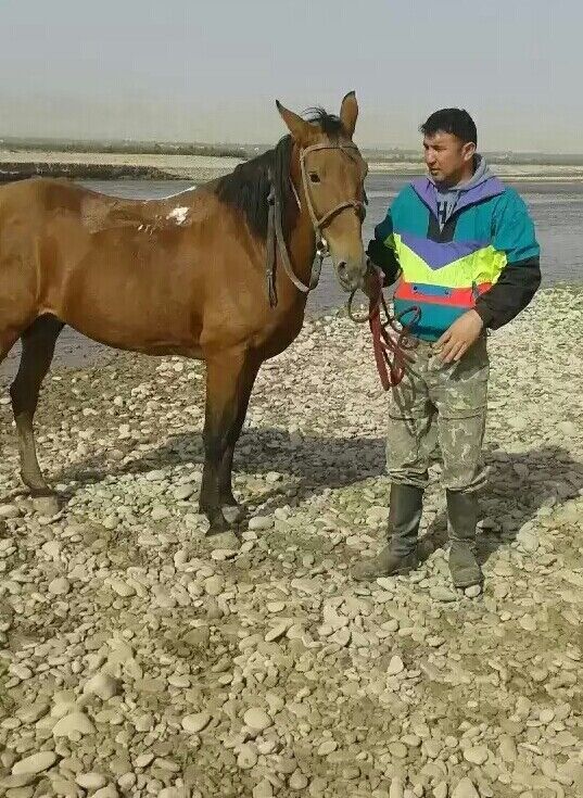  22814222  Uktam, 40 ,    
