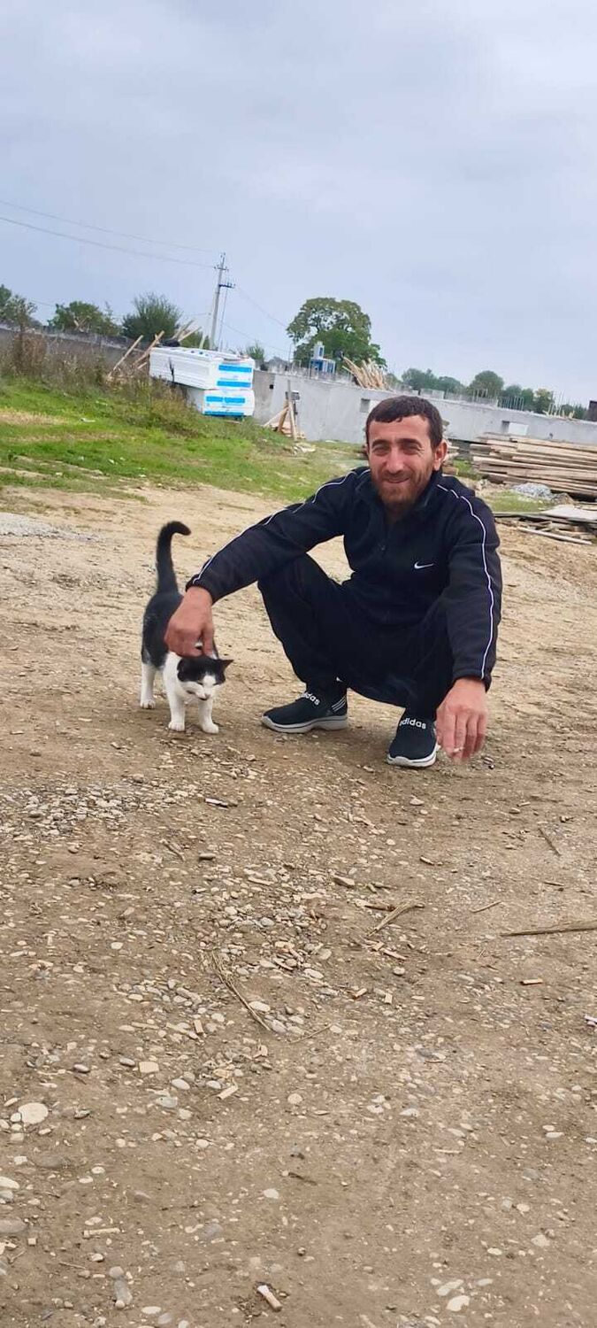  54373102  Xabil, 45 ,    