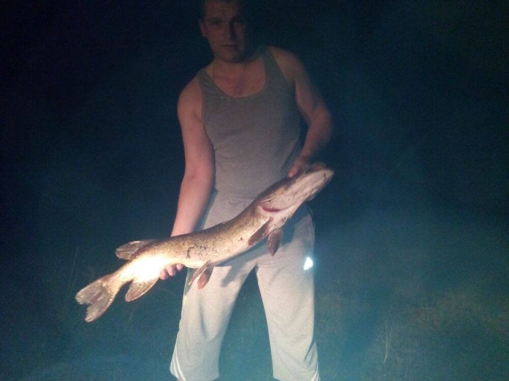 ���������� ��������, ���� ������� �������, 44 ����, ������������ ��� ������