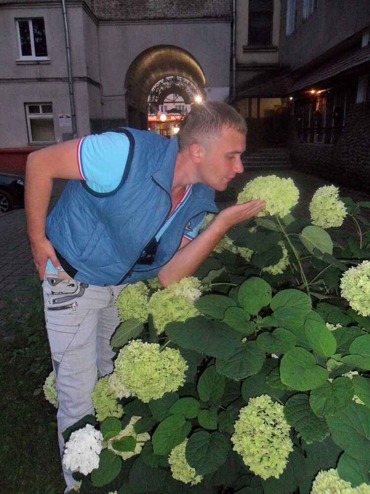 ���������� �����, ���� ������� �����, 37 ���, ������������ ��� ������, ����� � ���������, c�������� ���������