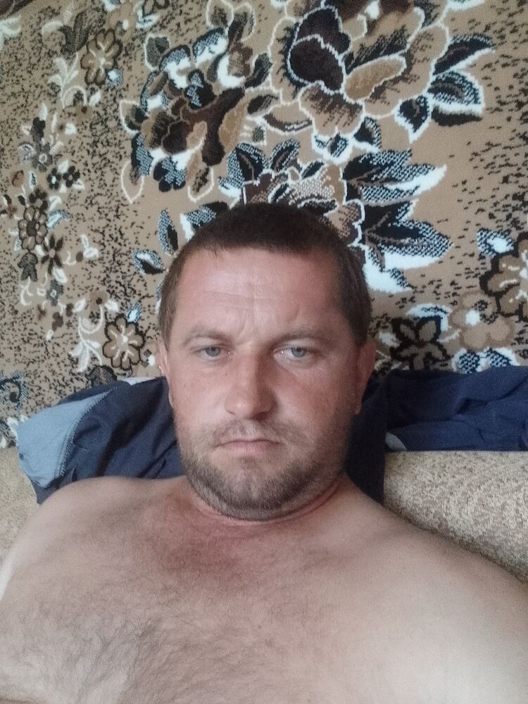  23386502  , 38 ,    