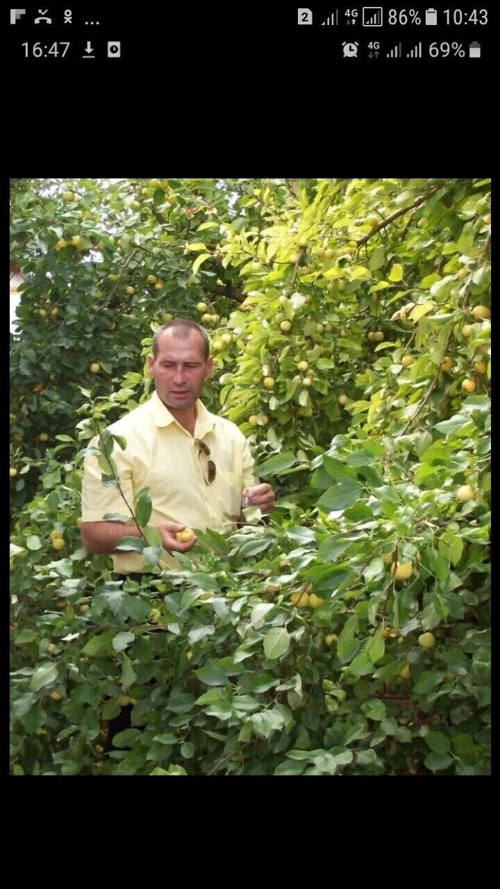  ,   , 48 ,   ,   , 