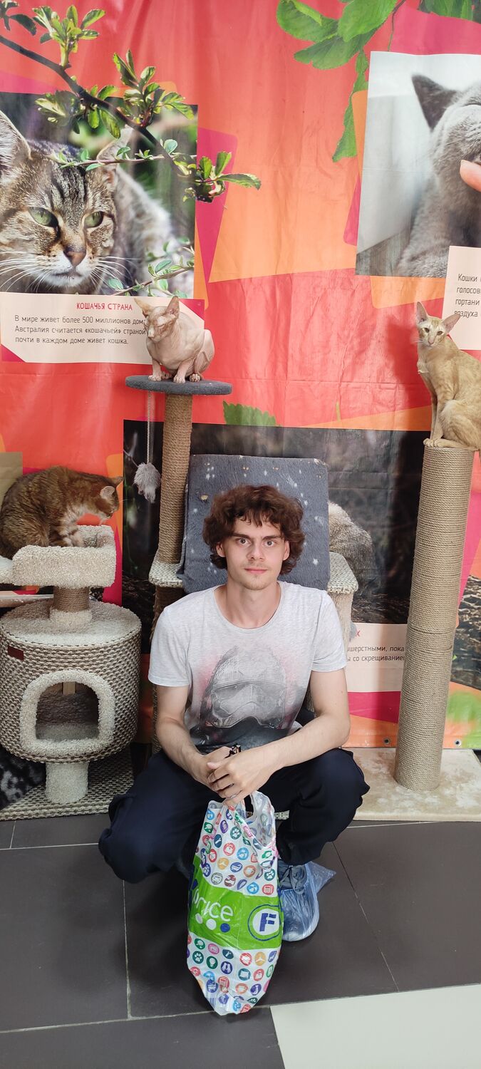 ���� 40566202 ����� ������, 25 ���, ���� ���������� � �������