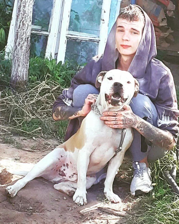 ���������� �������, ���� ������� Molly, 26 ���, ������������ ��� ������, ����� � ���������