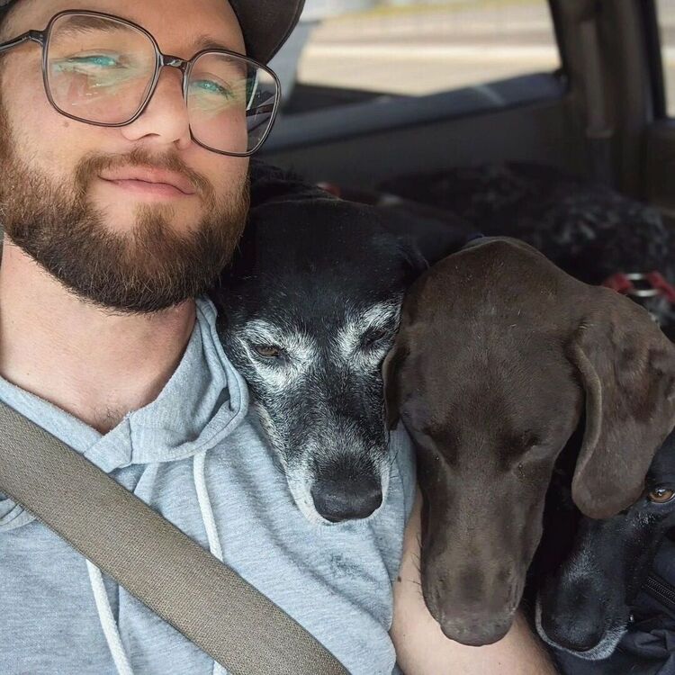 ���������� ������, ���� ������� ������, 40 ���, ������������ ��� ������, ����� � ���������