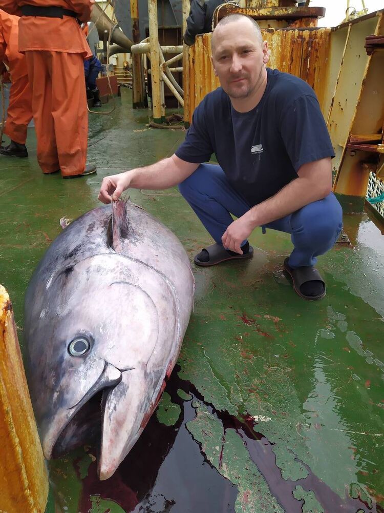 ���������� �����������, ���� ������� ALEXEY, 43 ����, ������������ ��� ������, c�������� ���������