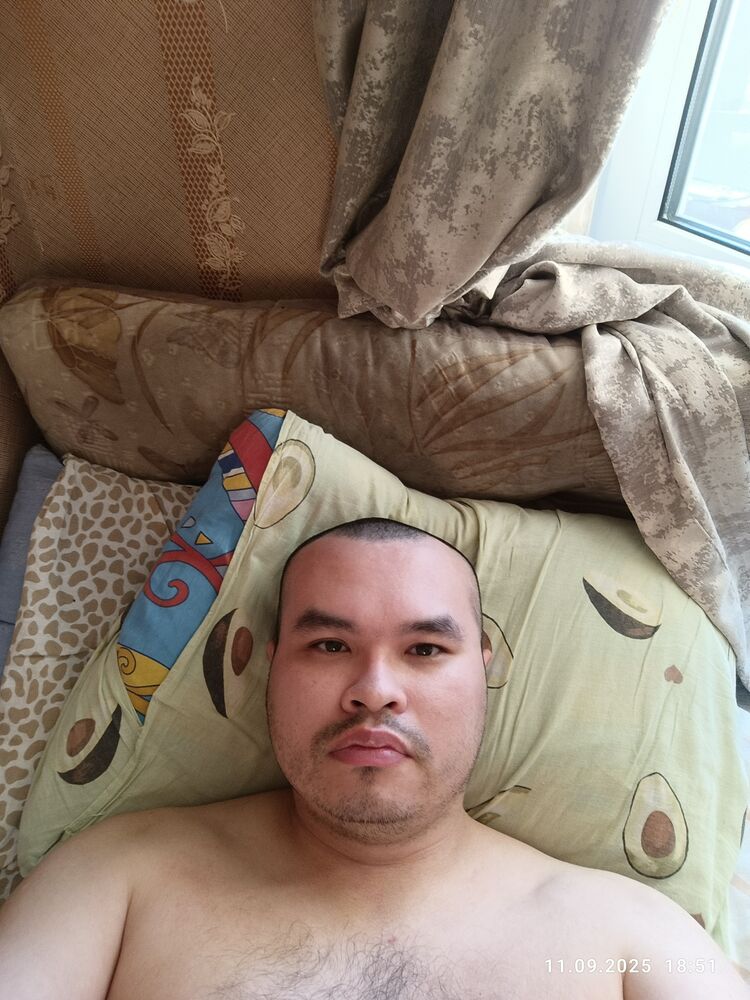  53518232  , 33 ,    