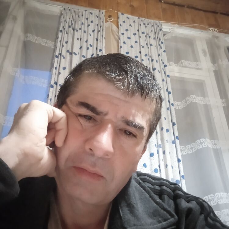  44445052  , 50 ,    