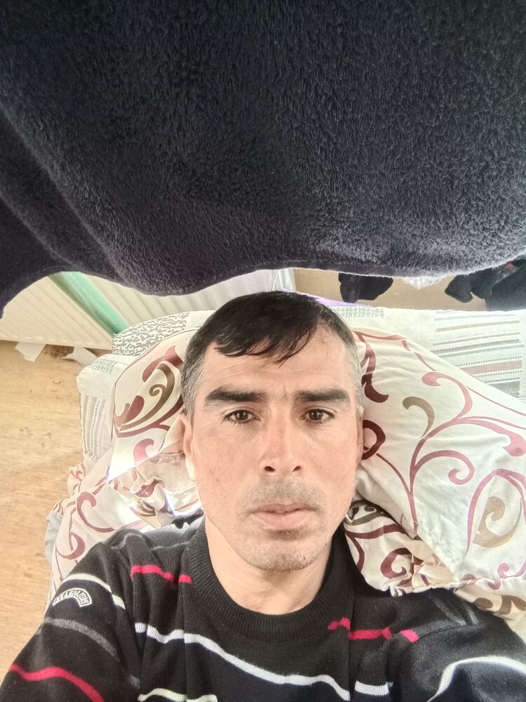  34751072  , 33 ,    
