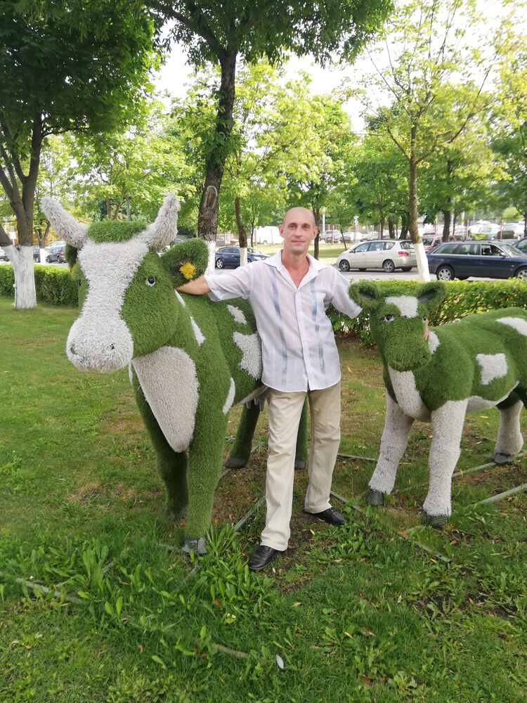 ���������� �����, ���� ������� �������, 44 ����, ������������ ��� c�������� ���������