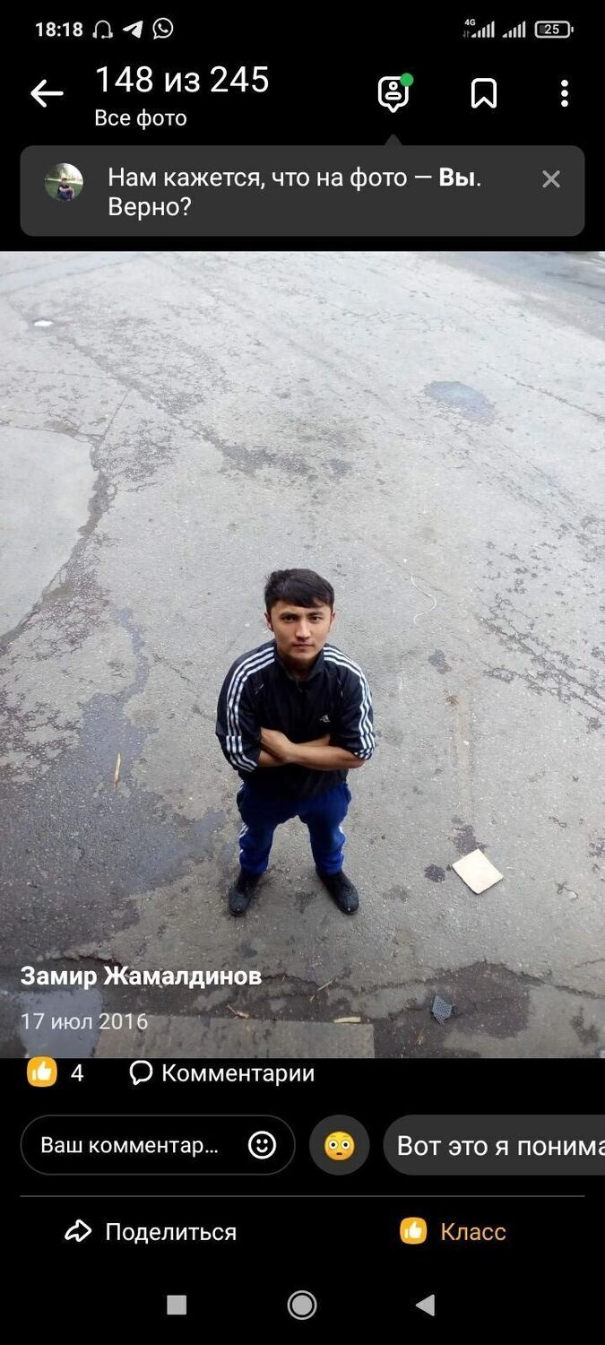 ���� 26068632 ������� Zamir, 30 ���, ���� ���������� � �������