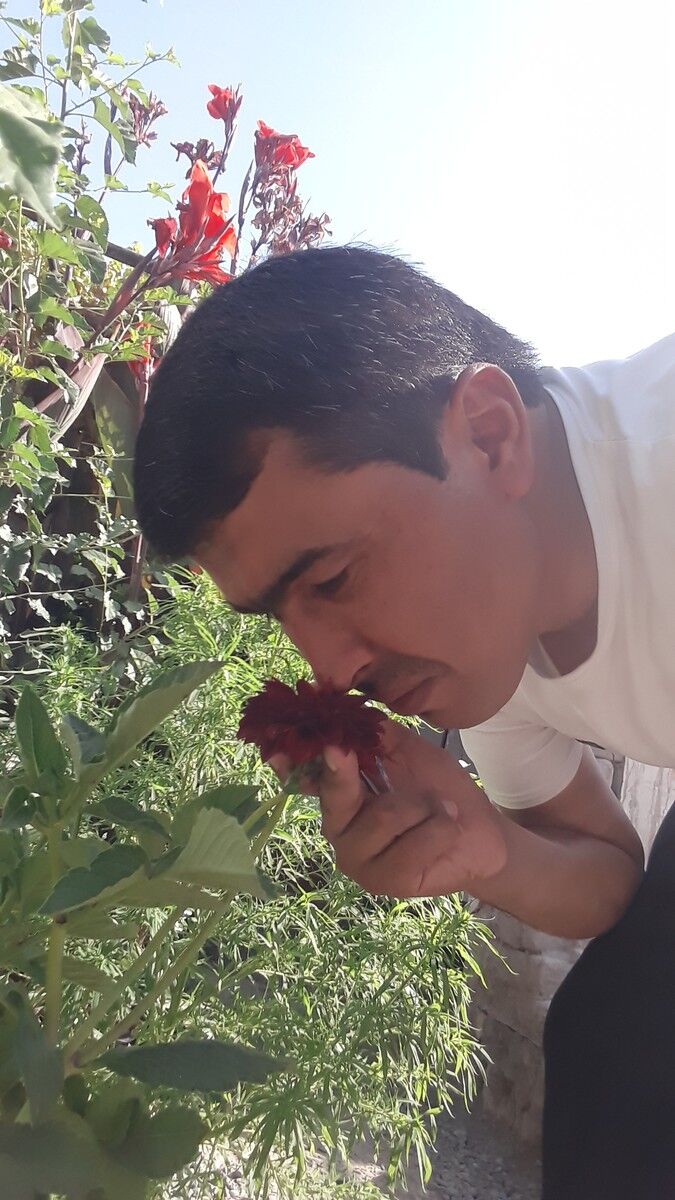 ���������� ��������, ���� ������� ��������, 37 ���, ������������ ��� ������, ����� � ���������, c�������� ���������, ���������