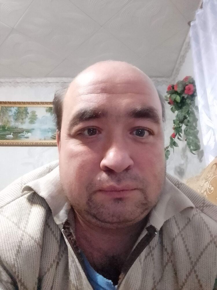  53343282  , 40 ,    -