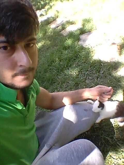 ���������� �������, ���� ������� �����, 33 ����, ������������ ��� ������, ����� � ���������, c�������� ���������