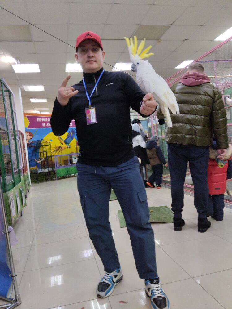  ,   , 42 ,   ,   , c , 