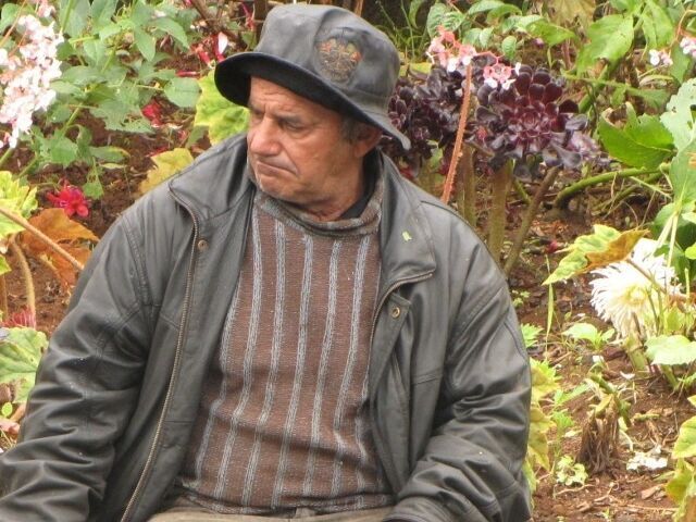 ���� 56276082 ������� �������, 57 ���, ���� ���������� � ������