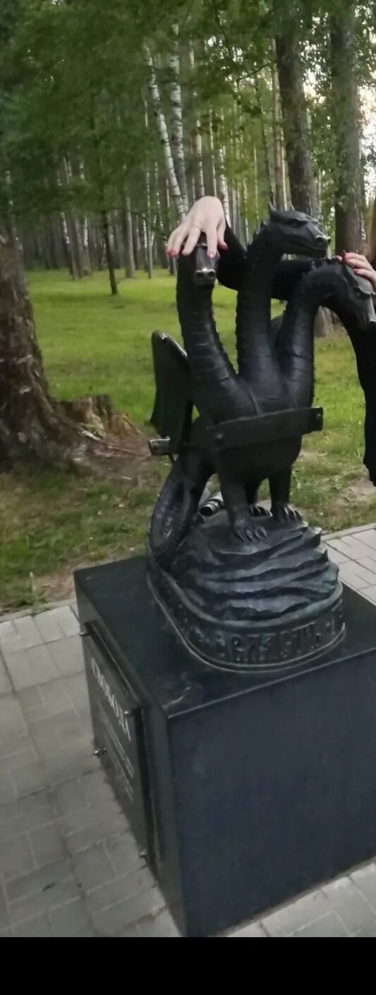  45853632  , 39 ,    