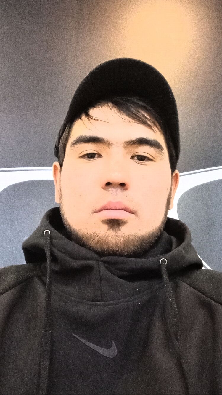  33342902  , 34 ,    
