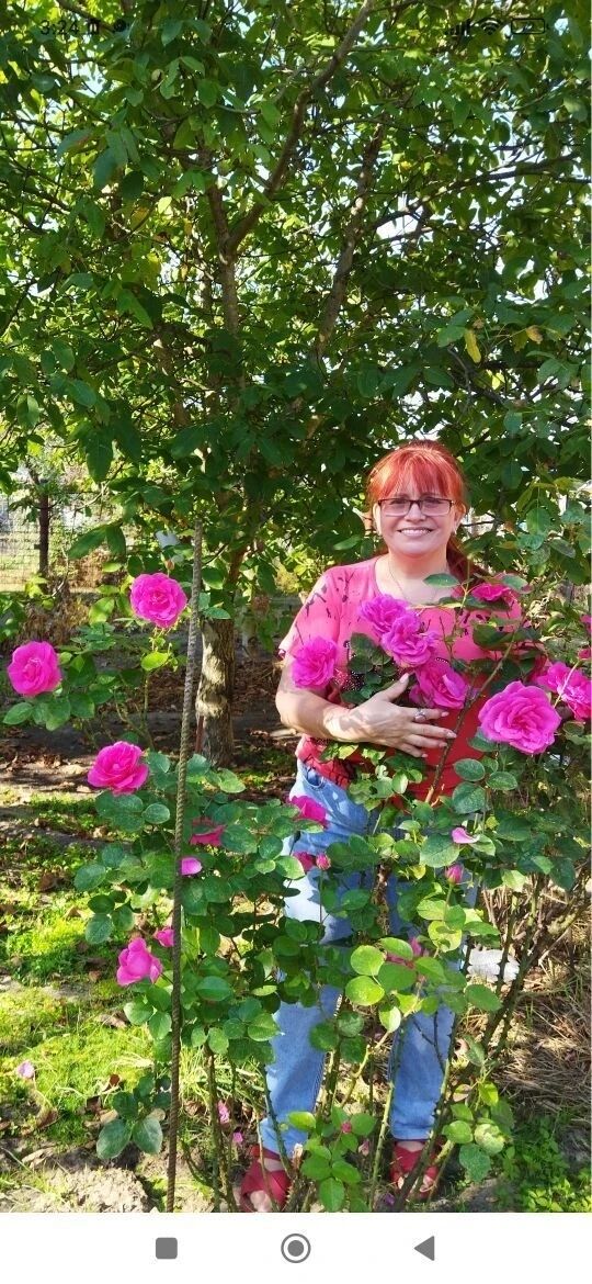 ���� 56029242 ������� ����������, 63 ����, ���� ���������� � ������������