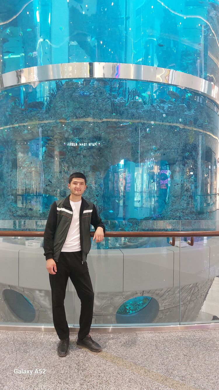 ���� 43842962 ����� ��������, 24 ����, ���� ���������� � ������