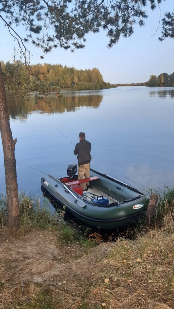 ���������� �������, ���� ������� Nic, 47 ���, ������������ ��� ������, ����� � ���������, c�������� ���������