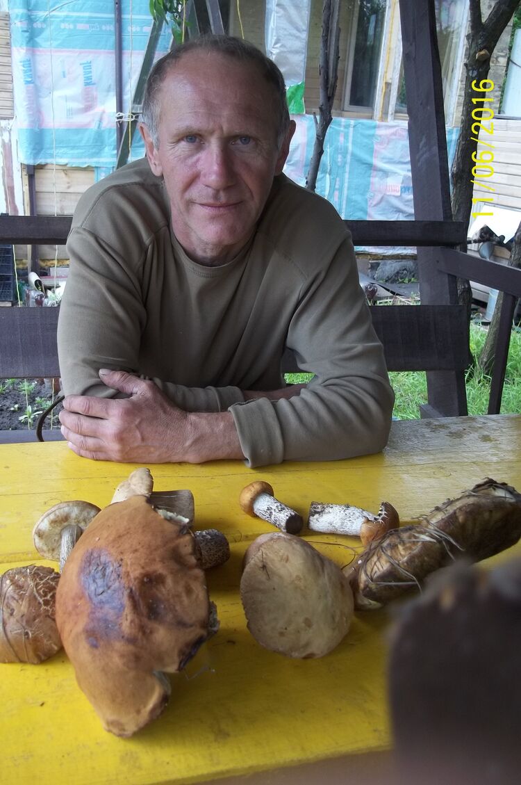 ���������� �������, ���� ������� �����, 65 ���, ������������ ��� ������, ����� � ���������