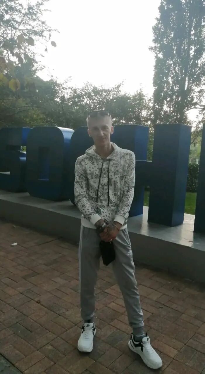  53596072  , 33 ,    