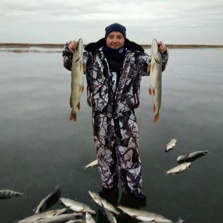 ���������� ���������, ���� ������� �������, 44 ����, ������������ ��� ����� � ���������, c�������� ���������