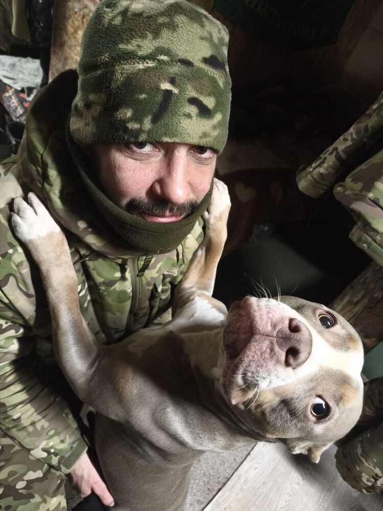 ���� 55588412 ������� �������, 38 ���, ���� ���������� � ������