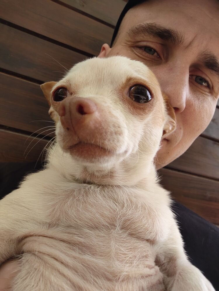 ���� 47928662 ������� �������, 35 ���, ���� ���������� � ������