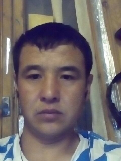 ���� 31933782 ������� ����, 41 ���, ���� ���������� � �����-����������