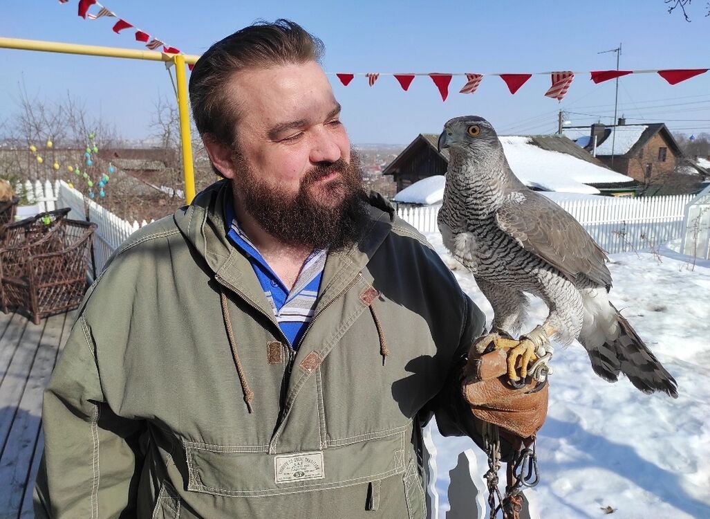 ���� 55127172 ������� ������, 40 ���, ���� ���������� � ����������-���������