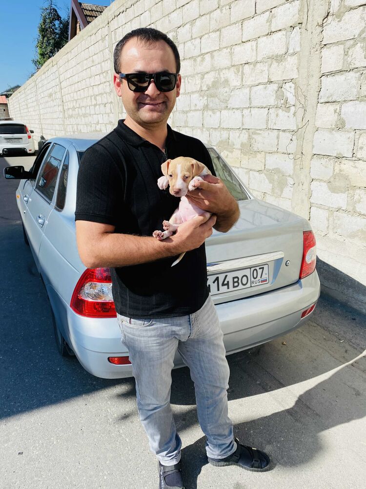 ���������� �������, ���� ������� ������, 34 ����, ������������ ��� ������, ����� � ���������