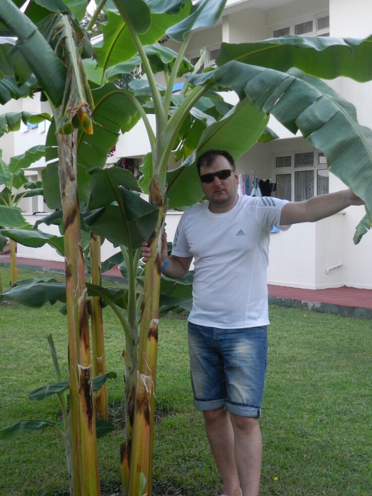 ���������� ����, ���� ������� �������, 46 ���, ������������ 