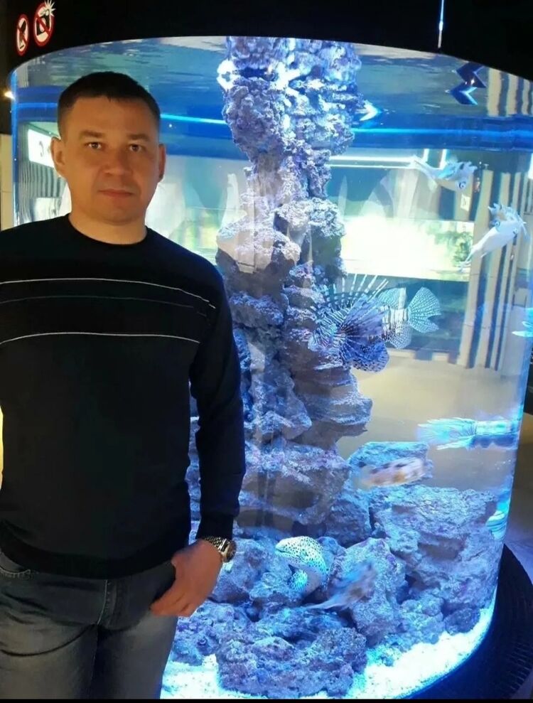 ���� 55742702 ������� �������, 40 ���, ���� ���������� � �������