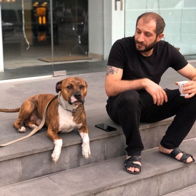 ���� 47716412 ������� Arman, 38 ���, ���� ���������� � ������