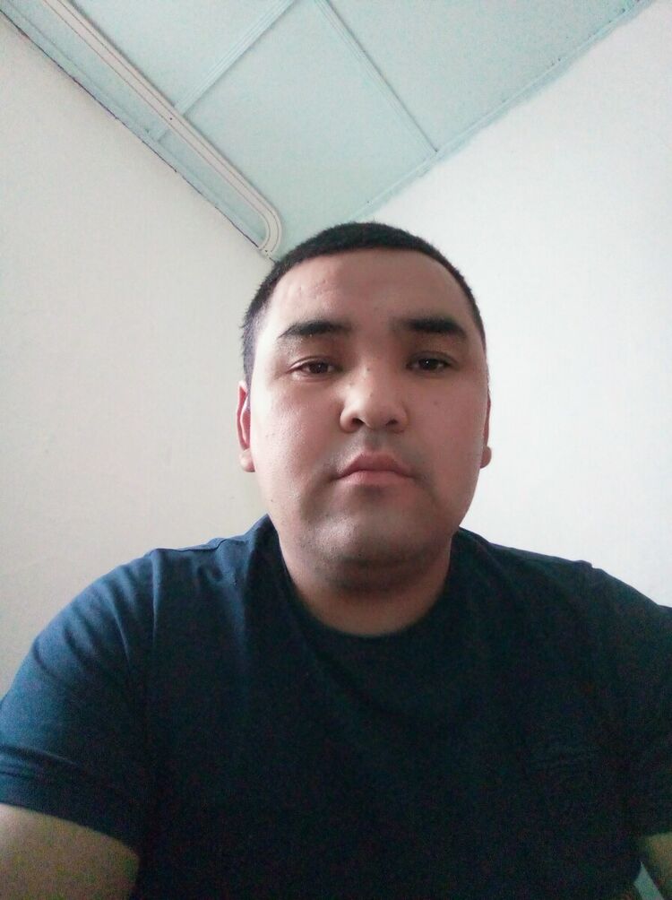  20477202  , 37 ,    