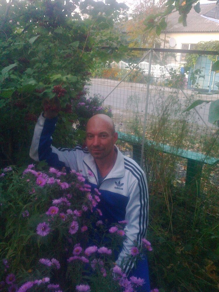  9755932  Lokkki, 45 ,    