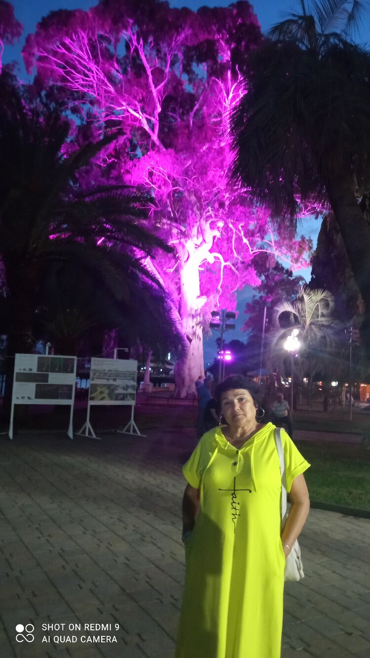 ���������� ������������, ���� ������� �������, 62 ����, ������������ ��� ����� � ���������, c�������� ���������