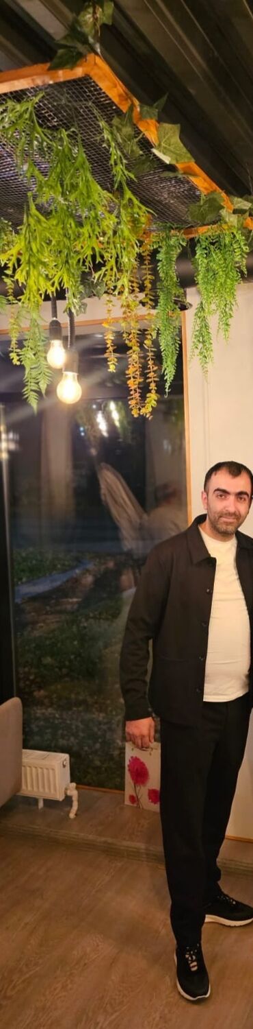 ���������� �����-���������, ���� ������� �����, 38 ���, ������������ ��� ������, ����� � ���������, c�������� ���������