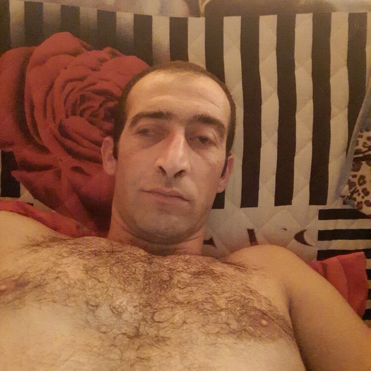  29481152  , 37 ,    