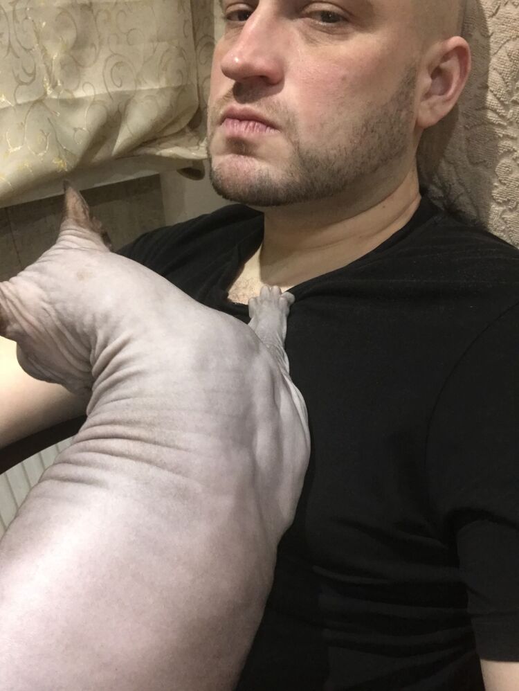  50589472  , 38 ,    -