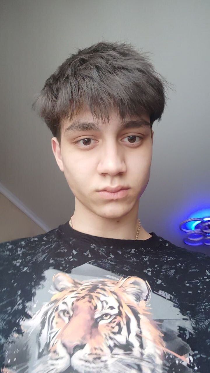  33033992  , 20 ,    
