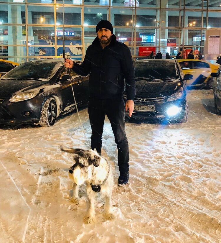 ���� 47724962 ������� ���, 38 ���, ���� ���������� � ������