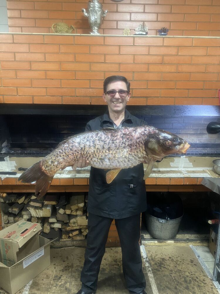 48156882  , 44 ,    