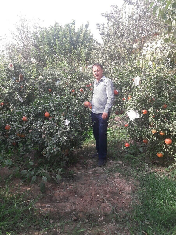 ���� 20348312 ������� Ibrohimjon, 36 ���, ���� ���������� � ��������