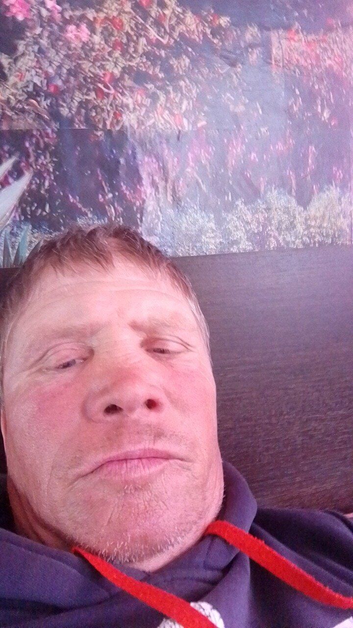  50681402  , 47 ,    