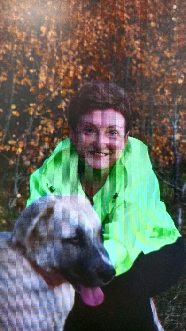 ���� 53788132 ������� ������, 56 ���, ���� ���������� � ���������